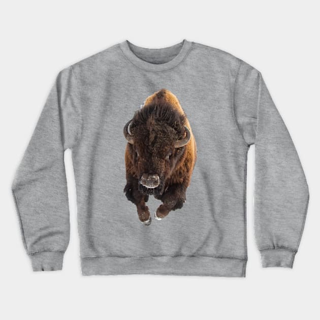 Charging Bison Crewneck Sweatshirt by Among the Leaves Apparel